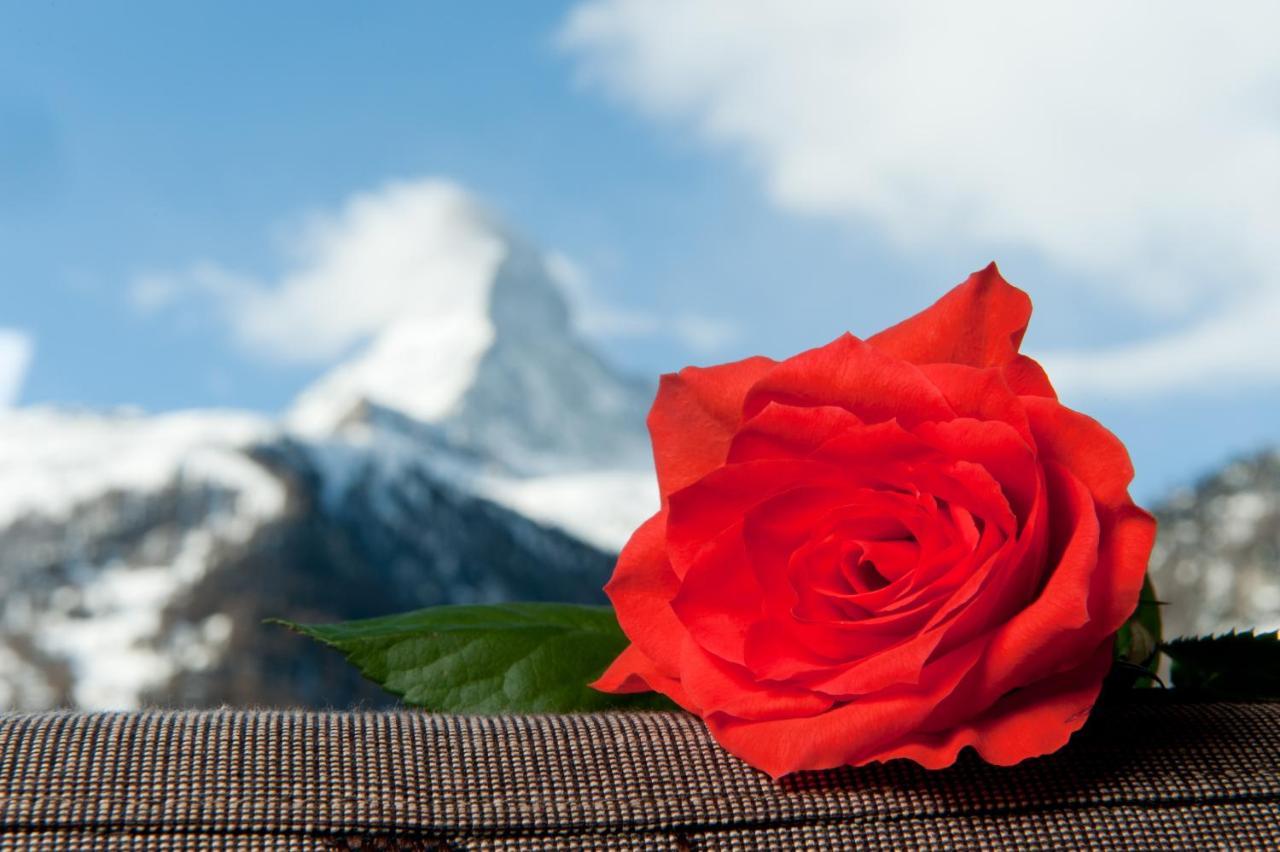 Hotel Hemizeus & Iremia Spa Zermatt Exteriér fotografie